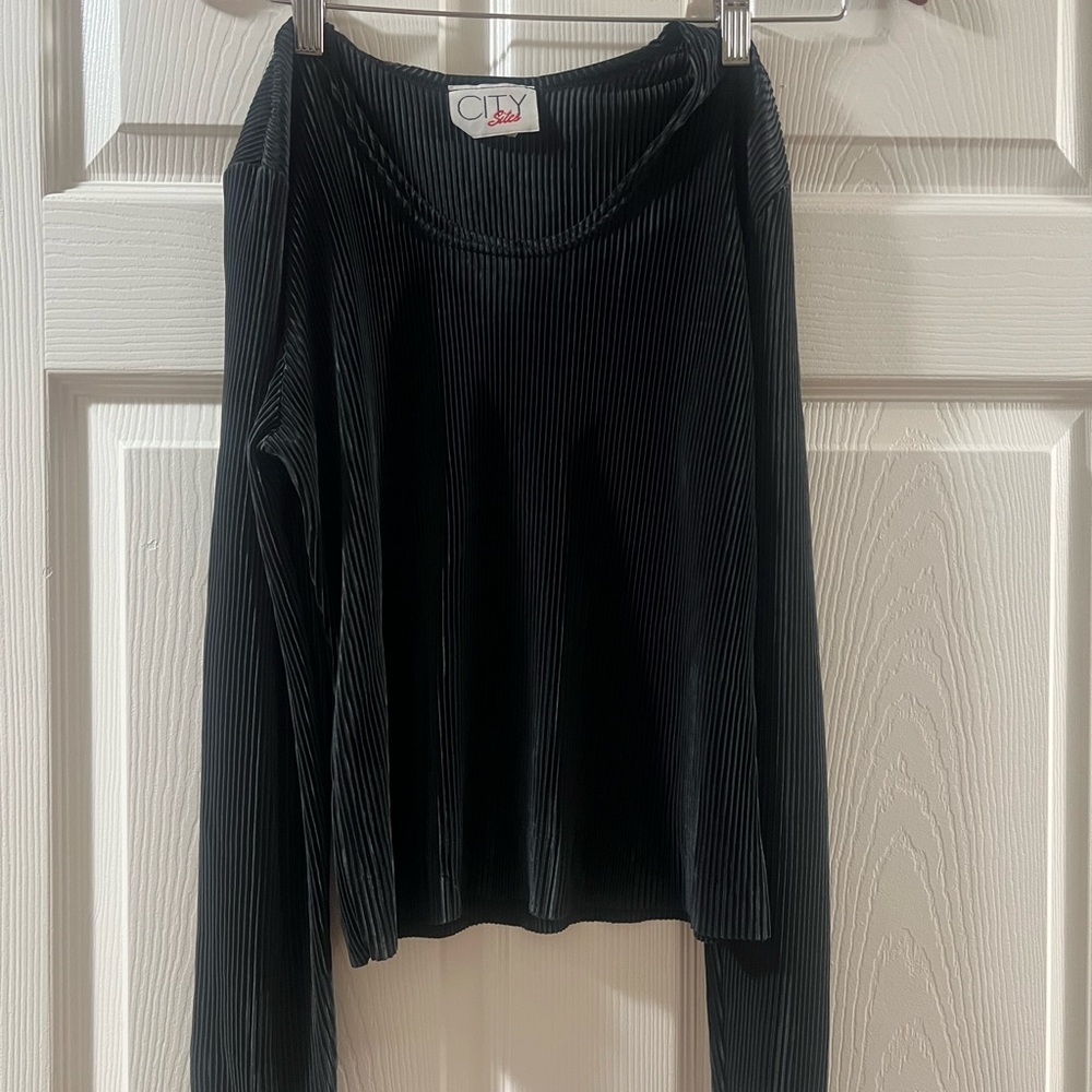Black Fitted Long Sleeve Blouse